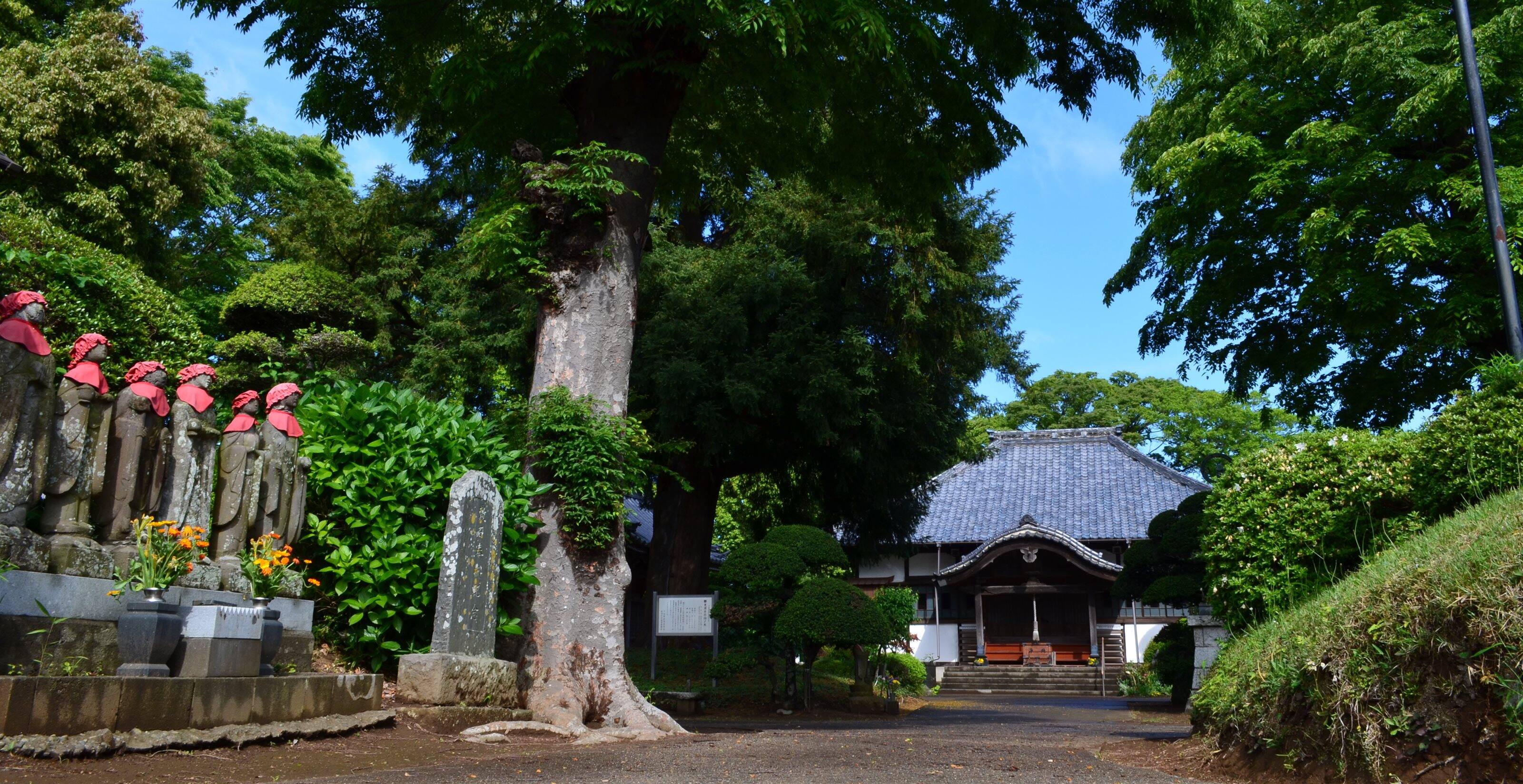 千葉県我孫子市 曹洞宗 東源寺 ~とうげんじ~